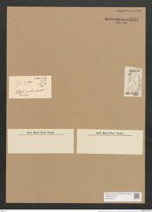 Nitzschia ovalis Arnott. (de-Toni-Nr.: Genus 47, Species 2119) Zeichnungen Sammlung Grunow Nr. 4247 (NHMW-BOT-W0372218)